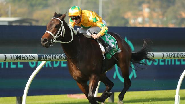 Tutta La Vita will likely make the pace in Saturday’s ATC Australian Oaks. Picture: Jeremy Ng / Getty Images