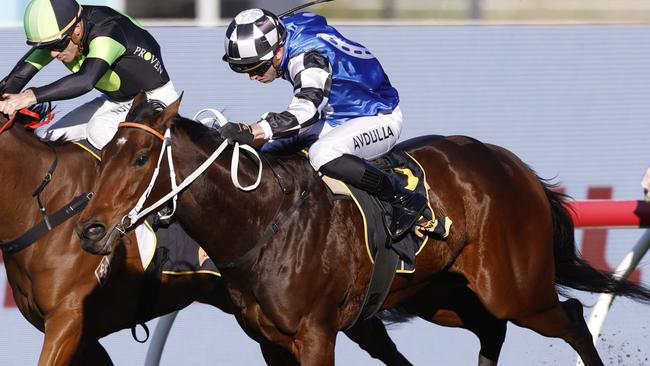 SYDNEY, AUSTRALIA - JUNE 04: Brenton Avdulla on Per Inaway   wins race 8 the Schweppes Handicap during Sydney Racing at Rosehill Gardens on June 04, 2022 in Sydney, Australia. (Photo by Mark Evans/Getty Images)