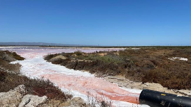 Pumping to remove hypersaline water to reduce the impact to mangroves, January 2021. Picture: Department for Energy and Mining