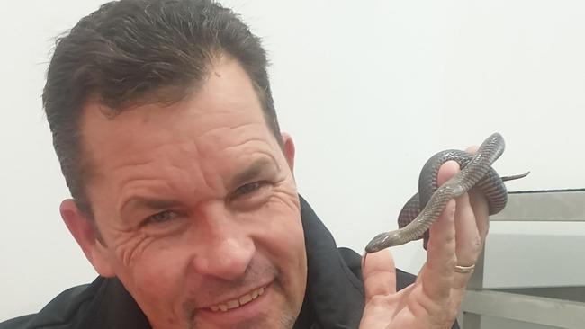 Australian Snake Catchers' Sean Cade with a golden-crowned snake found at North Rocks.