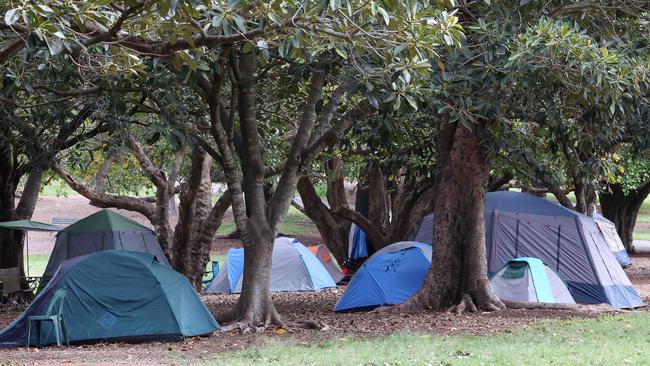 Homeless tents in Musgrave Park. Picture: Liam Kidston