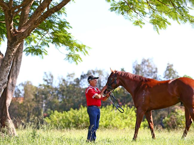 Peter Snowden with Capitalist at Bundall the morning after his huge Gold Coast victory. Photo: Kit Wise