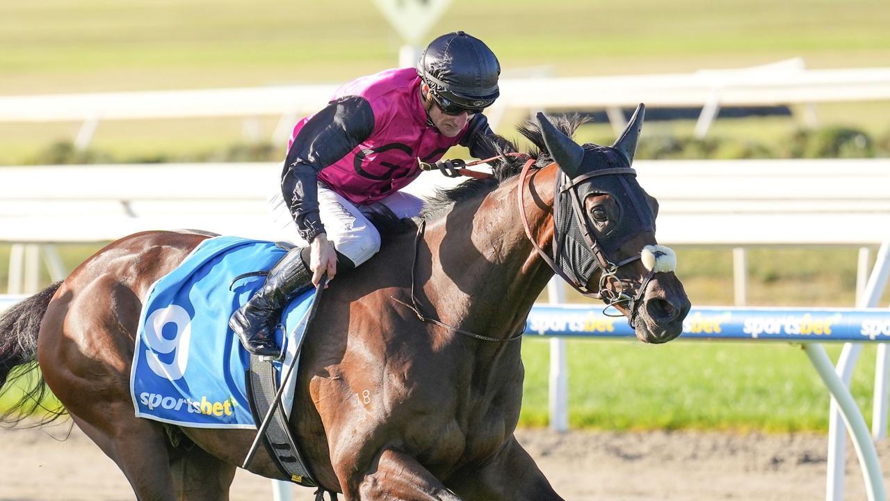 Esti Feny caused a boilover in the Mornington Cup. Picture: Scott Barbour/Racing Photos via Getty Images