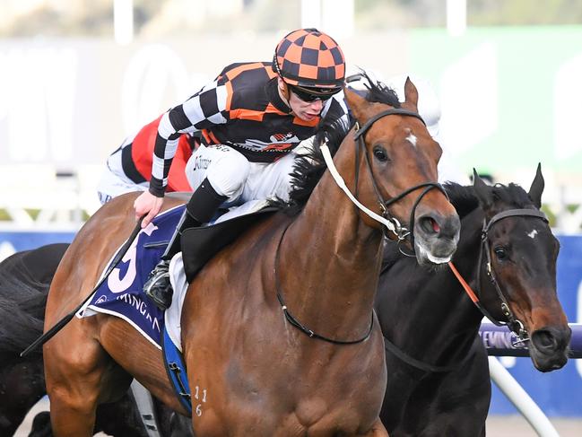 The Astrologist ridden by Damien Thornton wins the World Horse Racing Aurie's Star Handicap at Flemington Racecourse on August 07, 2021 in Flemington, Australia. (Pat Scala/Racing Photos via Getty Images)