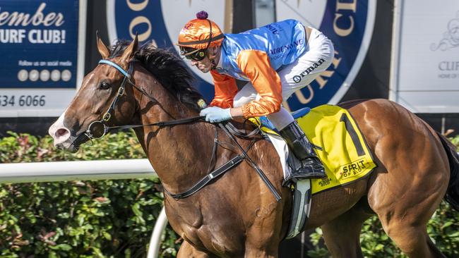 Prince of Boom ridden by James Orman wins race 8 at Clifford Park. Saturday, March 5, 2022. Picture: Nev Madsen.