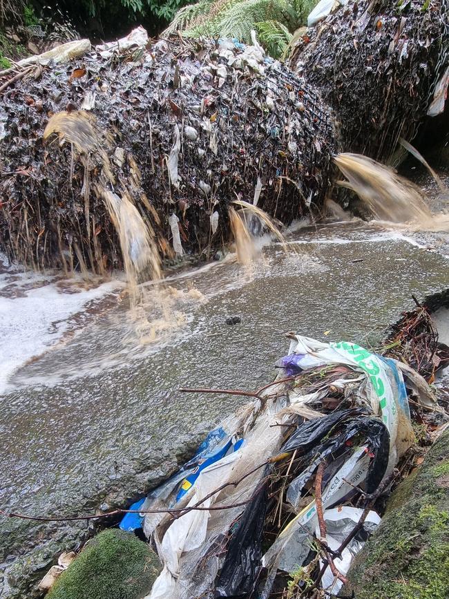 Rubbish has been dumped in the Hobart Rivulet where multiple platypuses have died because of litter. Photo: Hobart Rivulet Platypus/Pete Walsh