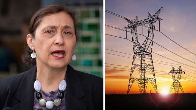 Victorian Energy Minister Liily D'Ambroisio's order adds $154 million to the cost of building transmission lines across NSW, affecting hundreds more landholders.