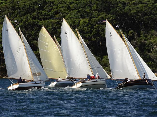 The Sydney Amateur Sailing Club sails at Mosman Bay. Picture: John Jeremy