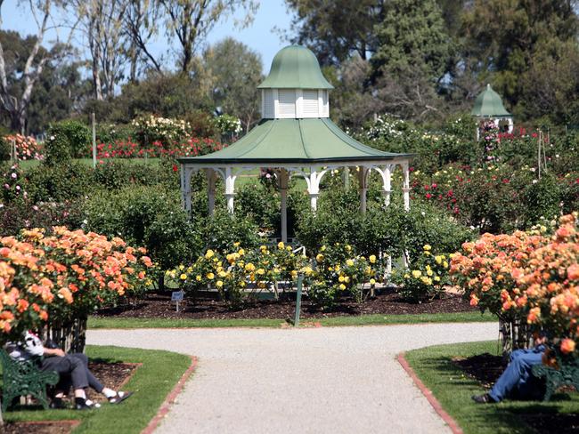 Victoria State Rose Garden, Werribee.