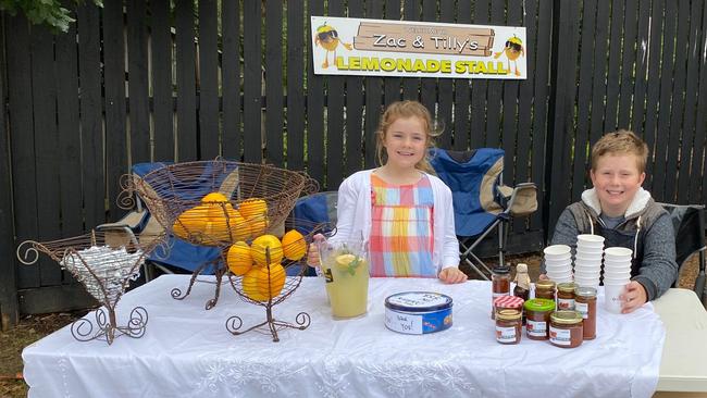 Tilly and Zac hard at work at their lemonade stand to raise money for Wildlife Victoria.