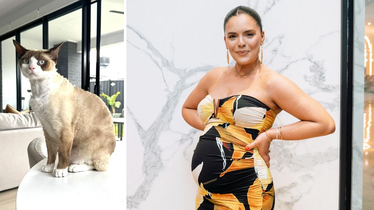 Olympia Valance as engaged a pet psychic to find her missing cat Jerry.