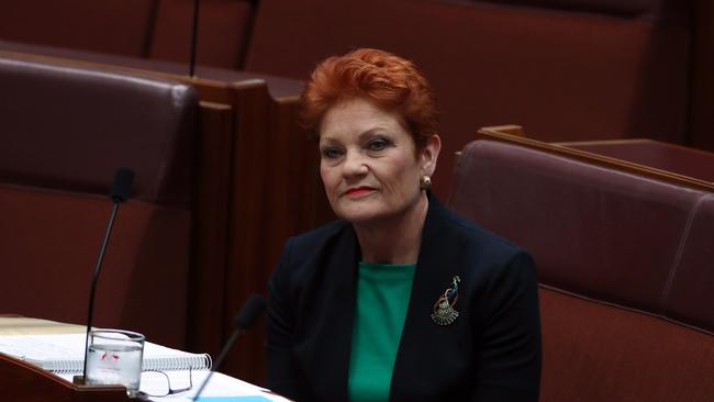 Senator Pauline Hanson’s “OK to be white” motion is just one of many irrelevant issues consuming our elected representatives. Picture: Gary Ramage