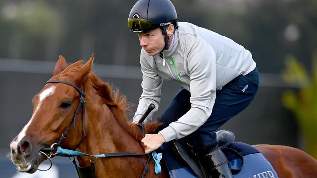 UK galloper Light Infantry, with Jockey Jamie Spencer aboard, works at Canterbury ahead of Saturday’s Golden Eagle. Picture: Jeremy Piper