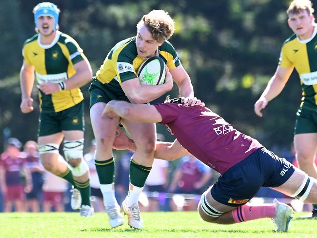 University v Wests, ColtsSaturday June 8, 2024. Picture, John Gass