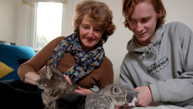 Wendy Forrest and her son Liam with Katie the cat &amp; her three kittens Picture: Stuart McEvoy