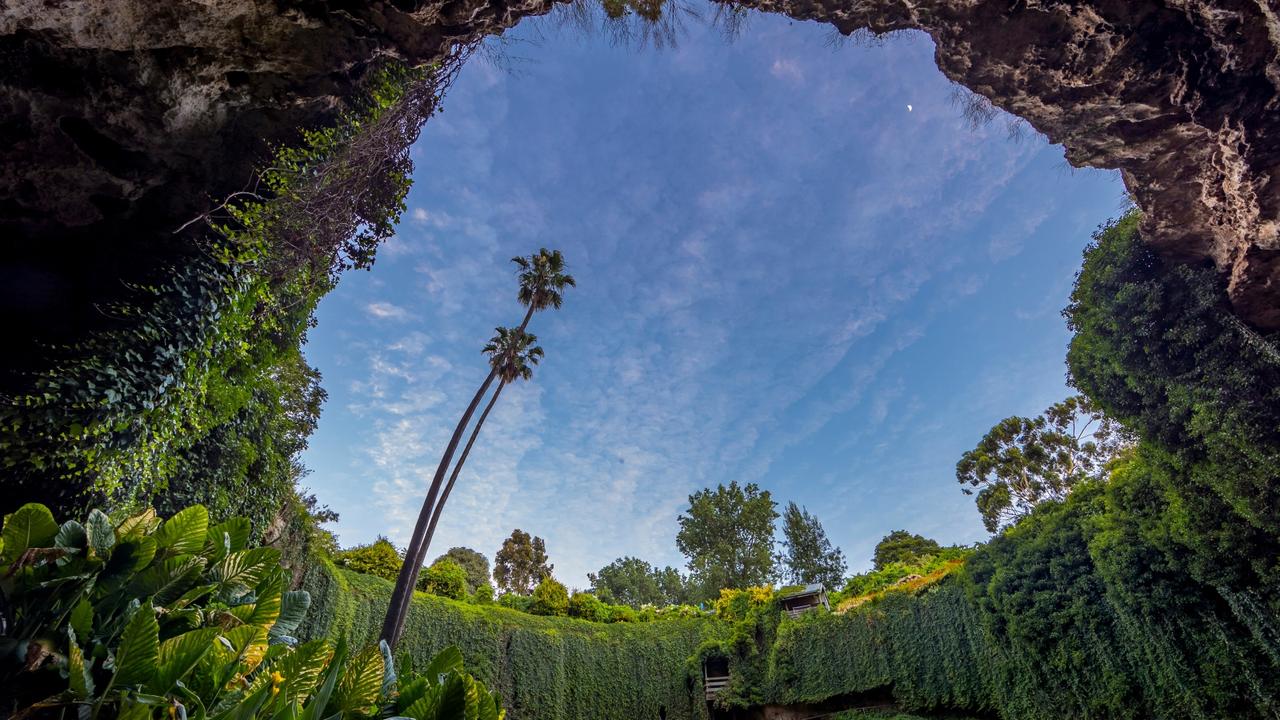 Inside Umpherston Sinkhole. Picture: Michael Ellem