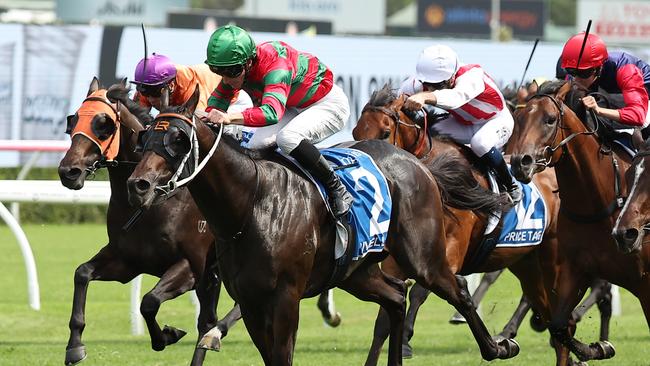 Rivellino will put his unbeaten record on the line in the Skyline Stakes. Picture: Jeremy Ng/Getty Images