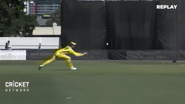 Steve Smith takes magnificent diving catch with injured elbow