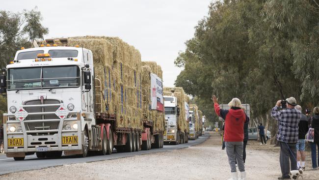 Locals greet a convoy of 23 trucks carrying 1200 tonnes of hay arriving in Condobolin, NSW, to assist drought-affected farmers. Picture: Dylan Robinson