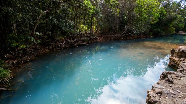 Cardwell Spa Pool is a naturally-fed, seasonal creek that shot to stardom on social media in 2016. Picture: Supplied