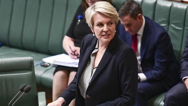 Environment and Water Minister Tanya Plibersek. Picture: NCA NewsWire / Martin Ollman