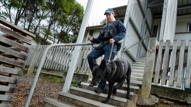 A police k9 unit outside a home where police arrested a woman on an AVO breach after noticing a heated argument unfold in West Kempsey. Picture: Max Mason-Hubers