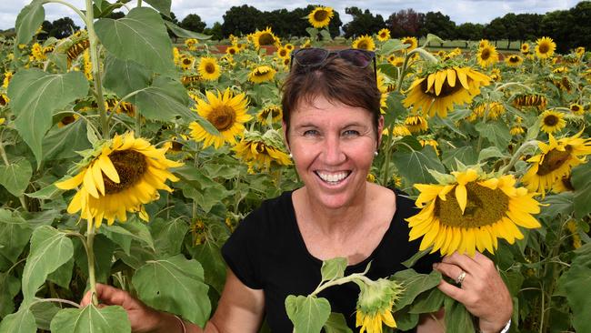 Michele Stephens the owner of The Farm and Co Kingscliff (at Cudgen) with her sunflowers. Photo: Steve Holland