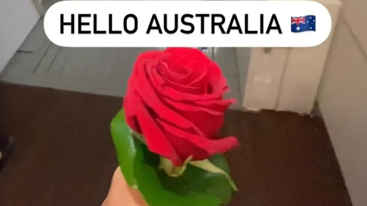 This rose cost a woman a $2000 at Perth Airport. Picture: Instagram