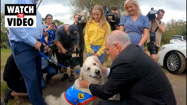 PM gets a Kiss from Shannie!