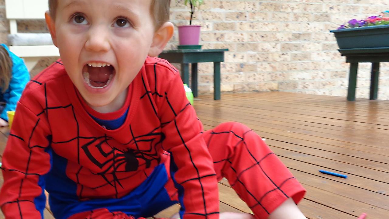 William Tyrrell was wearing a Spider-Man costume when he vanished in 2014.