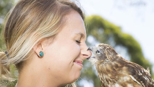 Cricket the boobook owl goes in for a kiss. Picture: MELVYN KNIPE