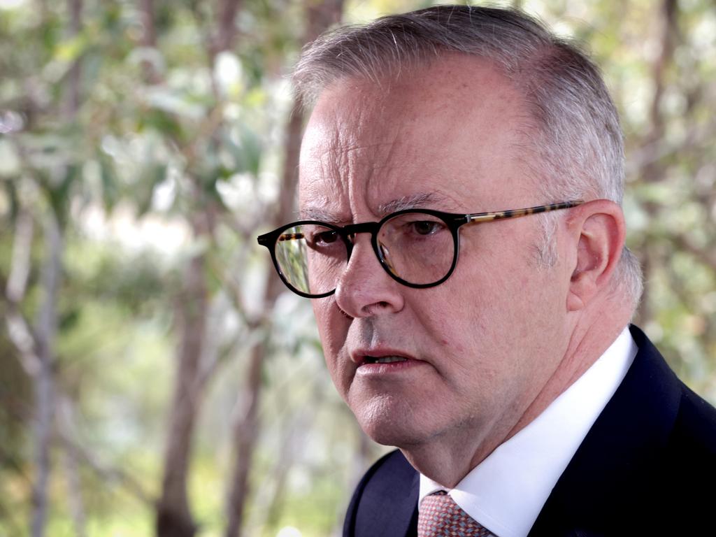 State Labor MPs have slammed The Prime Minister, Anthony Albanese. Picture: NewsWire/ Steve Pohlner