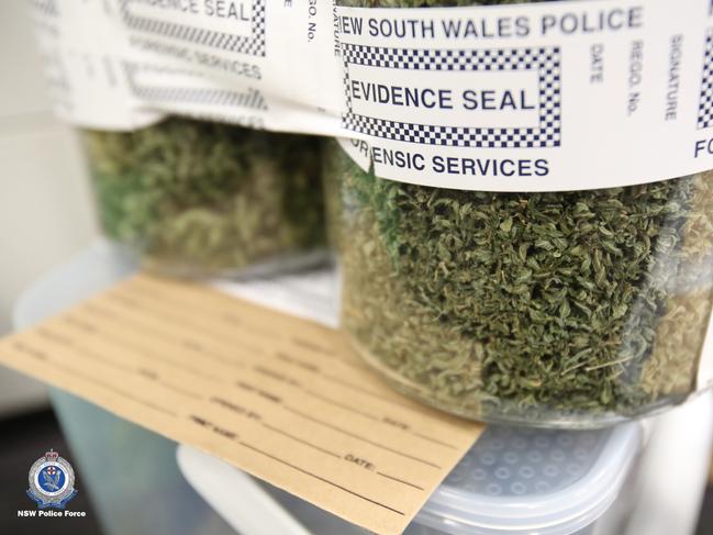 Some of the cannabis seized following the raids. Picture: NSW Police