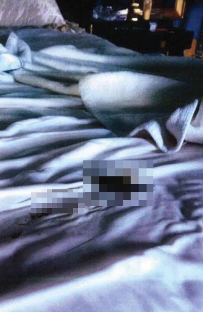 A photo allegedly depicting faeces in Johnny Depp's bed.