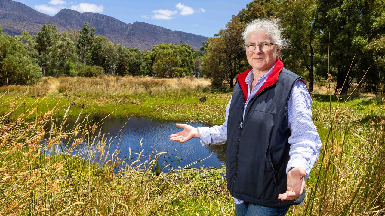 Halls Gap locals’ desperate fight to save town after bushfires