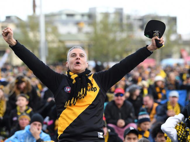 A Richmond fan celebrates a late goal Picture: AAP/Joe Castro