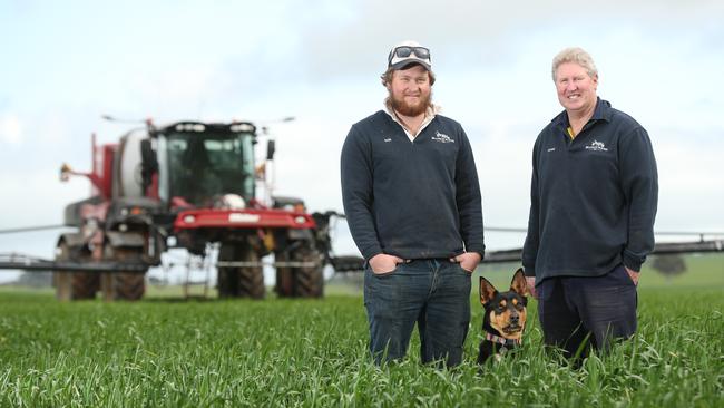 Stockport farmers Sam and Mark Branson in one of their wheat crops with dog 'Dusty'. Picture: Tait Schmaal