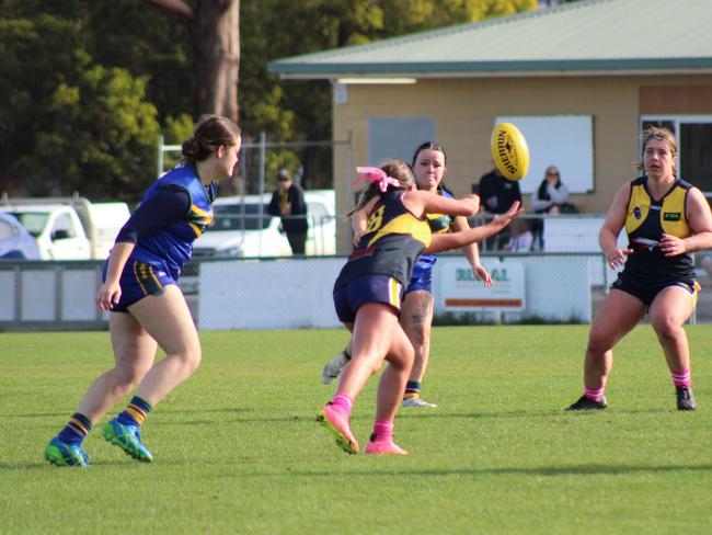 SFLW Community League - Action from Sorell v St Virgils during the annual Pink Sock-Carolyn Birch Memorial Match. Picture: Jake Garland