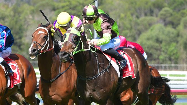 Racing action at the Sunshine Coast. Photo: Grant Peters/Trackside Photography.