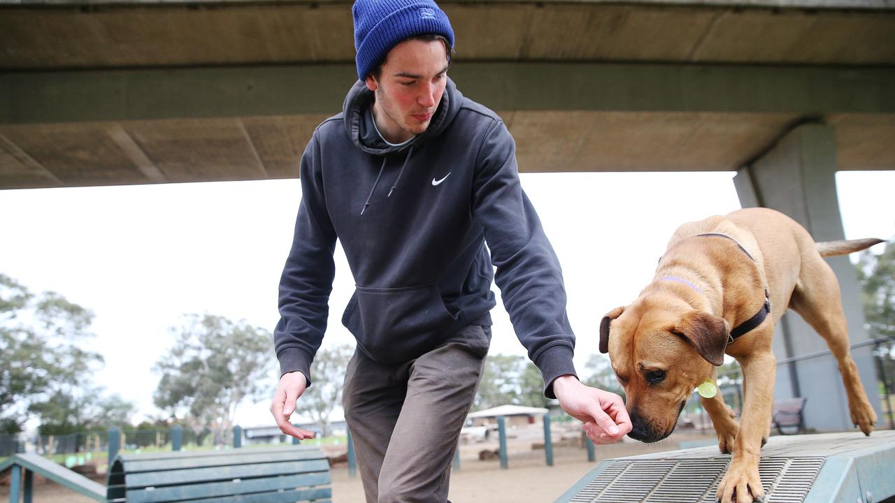 Will Simmons with his dog Jasper at Belmont dog park. Geelong council is set to build a similar venue in St Albans Park. Picture: Alan Barber.