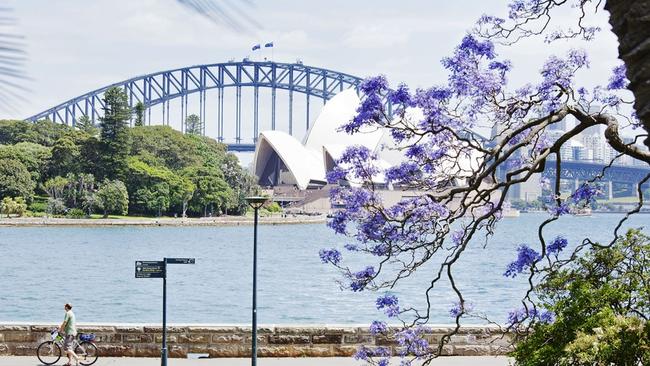 #SnapSydney 2017: Jacarandas in bloom | Daily Telegraph