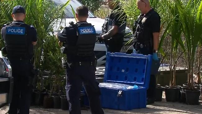 Police officers with a container and plants unloaded from a truck stopped in Elanora on the Gold Coast on Friday which was allegedly found to be carrying cannabis. Picture: Nine Gold Coast News