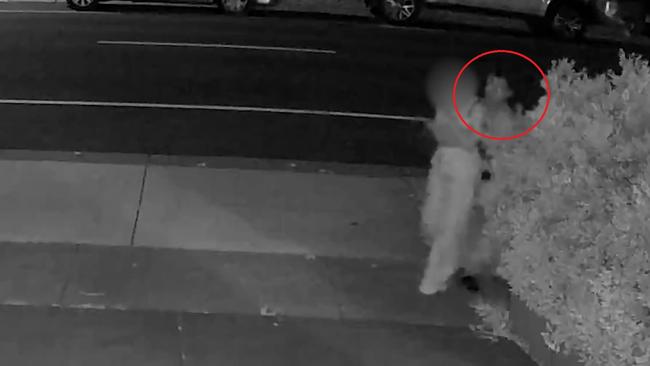 CCTV footage captured the moment a woman was grabbed by an unknown man during an alleged attempted kidnapping. Picture: Supplied / Victoria Police.