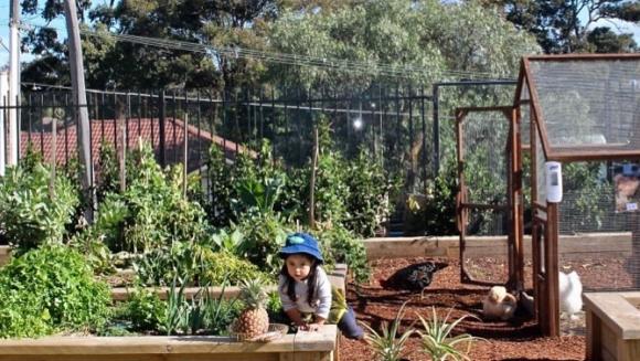 Child plays in nature at Orchard Early Learning Centre, which could be coming to West Pennant Hills in a mutlimillion dollar development. Picture: supplied