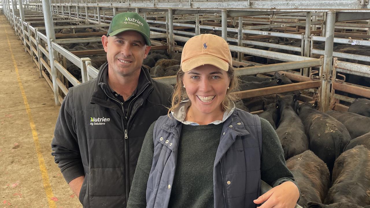 Cattle prices: Big Mortlake yarding sees prices drop 50c | The Weekly Times