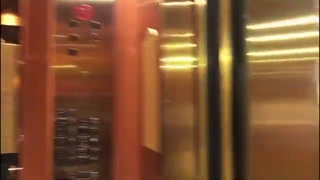 'Aussie, Aussie, Aussie': Australian Passengers Cheer as They Disembark Diamond Princess