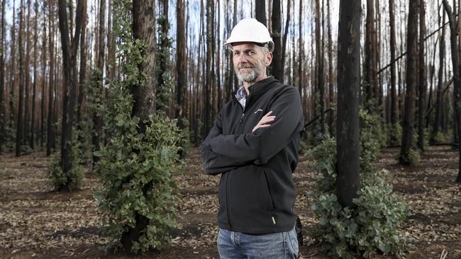 Managing director Keith Lamb has said a port at Smith Bay is the “only viable long-term option” to export the company’s timber. Picture: Sarah Reed