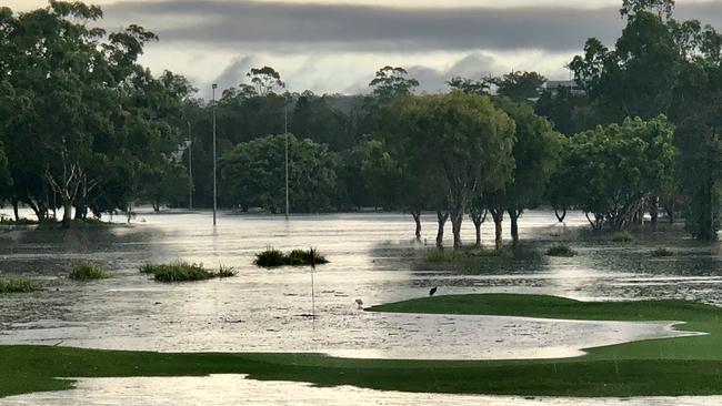 Floodwaters at Carrara. Picture: Glenn Hampson