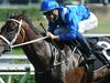 Our experts choose their stars to follow