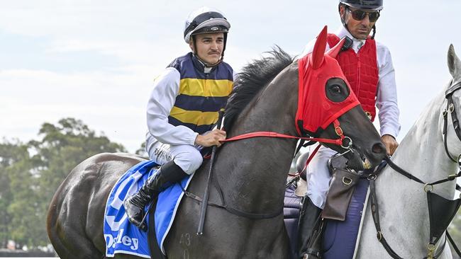 The OTI-raced, Joe Pride-trained Emilia Jane is Shayne O'Cass's best bet of the day at Kembla Grange on Tuesday. Picture: Bradley Photos